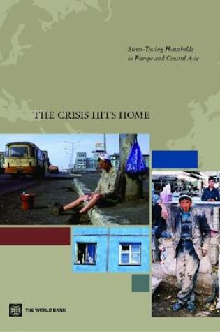 Cover of The Crisis Hits Home