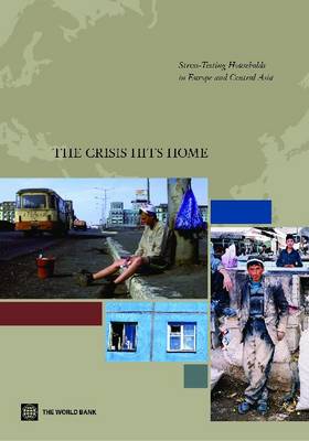 Book cover for The Crisis Hits Home