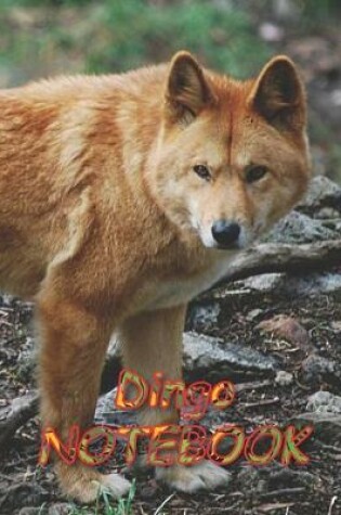 Cover of Dingo NOTEBOOK