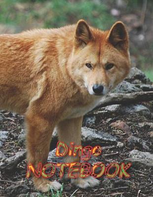 Book cover for Dingo NOTEBOOK