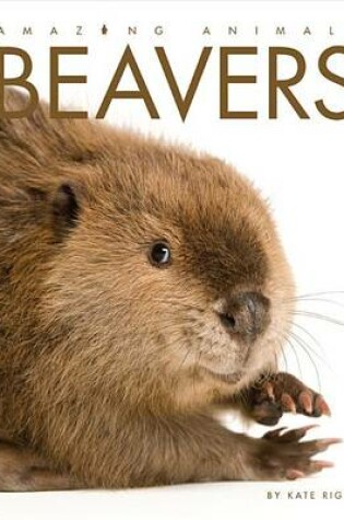 Cover of Amazing Animals Beavers