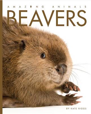 Cover of Amazing Animals Beavers