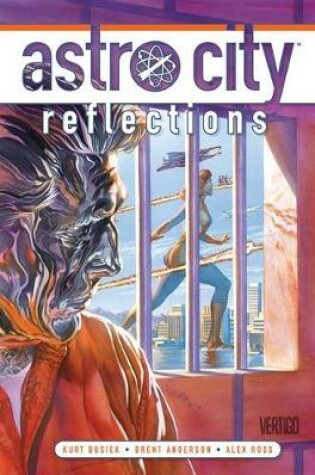 Cover of Astro City Vol. 14