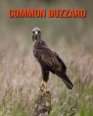 Book cover for Common Buzzard