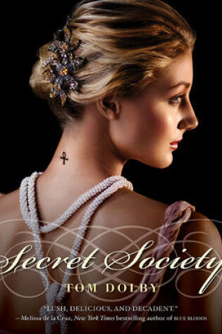 Cover of Secret Society