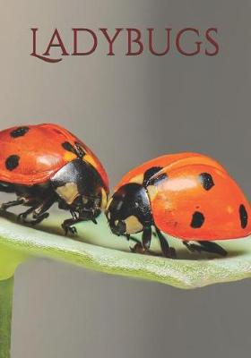 Book cover for Ladybugs