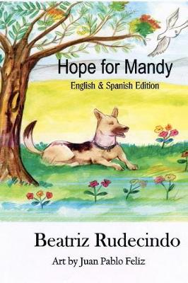 Book cover for Hope for Mandy