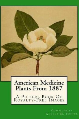 Cover of American Medicine Plants From 1887