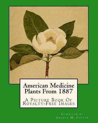 Book cover for American Medicine Plants From 1887