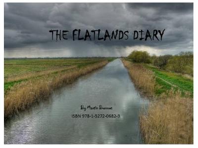 Book cover for The Flatlands Diary