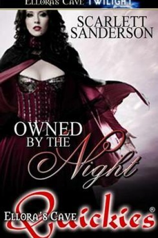 Cover of Owned by the Night