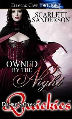 Book cover for Owned by the Night