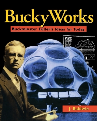 Book cover for BuckyWorks