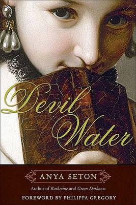 Book cover for Devil Water