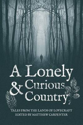 Book cover for A Lonely and Curious Country