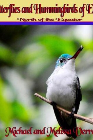 Cover of Butterflies and Hummingbirds of Ecuador