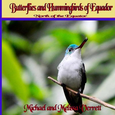 Book cover for Butterflies and Hummingbirds of Ecuador