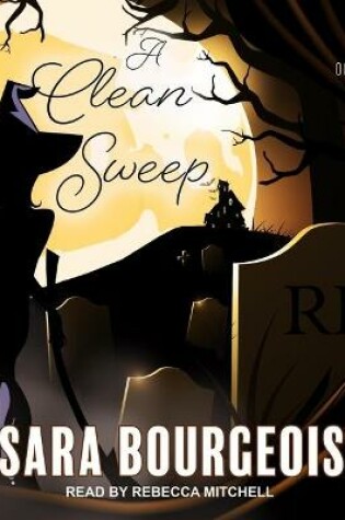Cover of A Clean Sweep