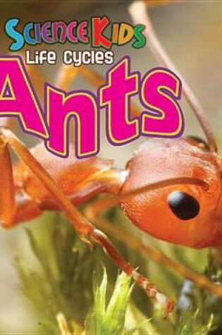 Cover of Ants