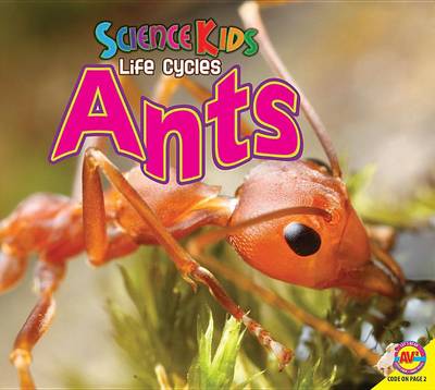 Cover of Ants