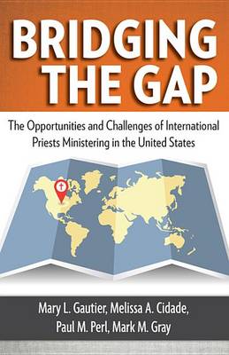 Book cover for Bridging the Gap