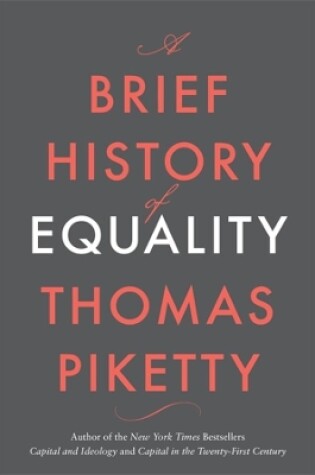 Cover of A Brief History of Equality