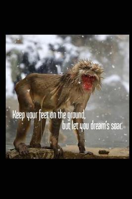 Book cover for Keep Your Feet on the Ground, But Let You Dream's Soar