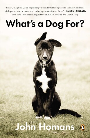 Book cover for What's a Dog For?