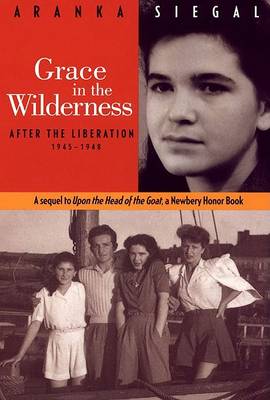 Book cover for Grace in the Wilderness