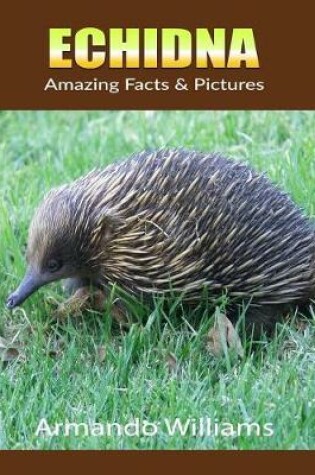 Cover of Echidna