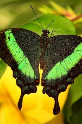 Cover of Emerald Swallowtail Butterfly Journal