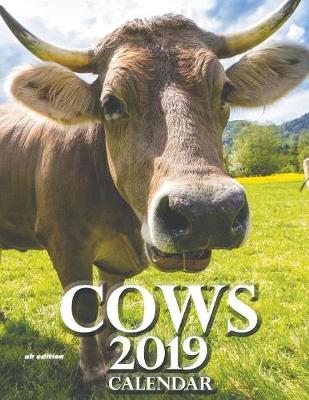 Book cover for Cows 2019 Calendar (UK Edition)