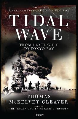 Book cover for Tidal Wave