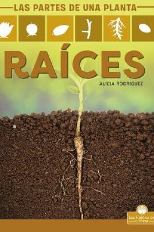 Cover of Ra�ces (Roots)