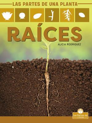 Book cover for Raíces (Roots)