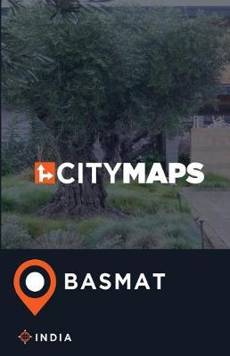Book cover for City Maps Basmat India