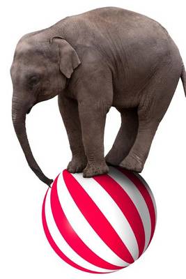 Book cover for An Elephant on Top of a Ball at the Carnival