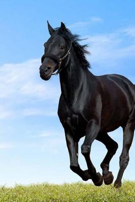 Book cover for Black Horse Galloping Through a Meadow on a Perfect Day