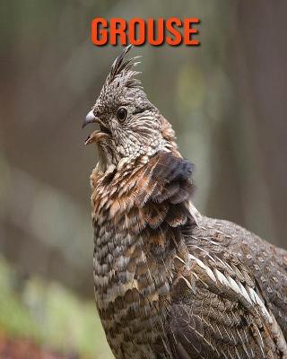 Book cover for Grouse