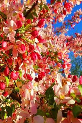 Cover of Journal Spring Cherry Tree Blossoms