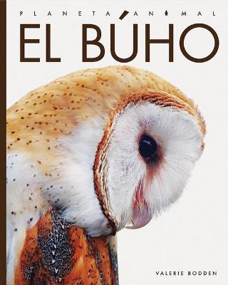 Book cover for El Búho
