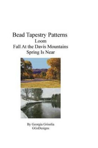 Cover of Bead Tapestry Patterns loom Fall at the davis mountains spring is near