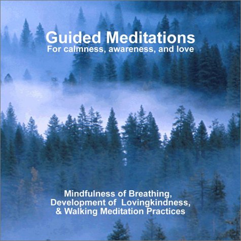 Book cover for Guided Meditations