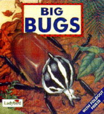 Cover of Big Bugs