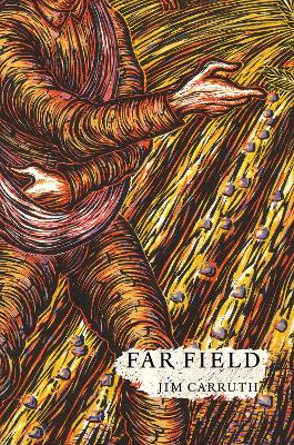 Book cover for Far Field