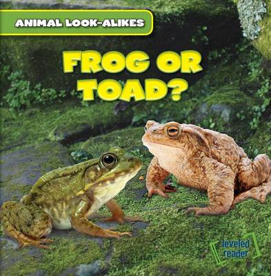 Book cover for Frog or Toad?