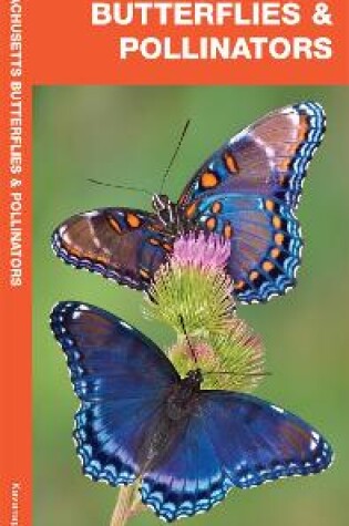 Cover of Massachusetts Butterflies & Pollinators