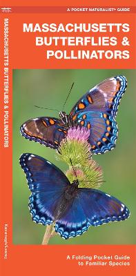 Book cover for Massachusetts Butterflies & Pollinators
