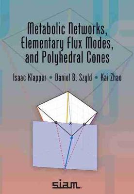 Book cover for Metabolic Networks, Elementary Flux Modes, and Polyhedral Cones