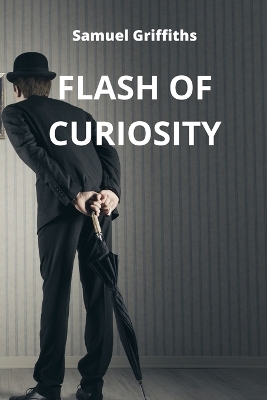 Book cover for Flash of Curiosity